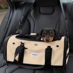in-cabin dachshund flight carrier