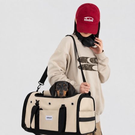 in-cabin dachshund flight carrier