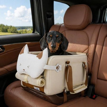 dachshund space everyday carrier