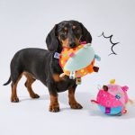 squeaky ball interactive dachshund toy