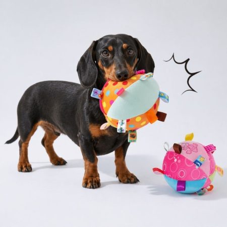 squeaky ball interactive dachshund toy