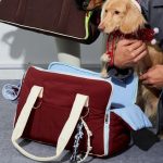 doxieglex travel carrier