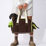 doxieglex travel carrier