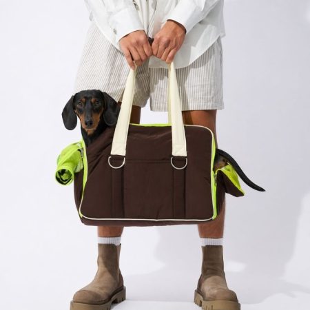 doxieglex travel carrier