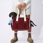 doxieglex travel carrier