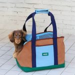 doxiego dachshund carrier