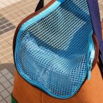 doxiego dachshund carrier