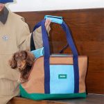 doxiego dachshund carrier