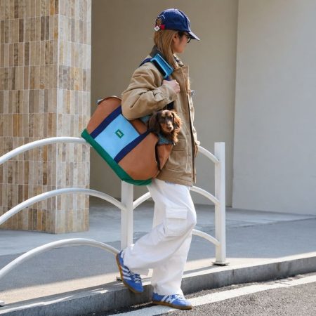 doxiego dachshund carrier