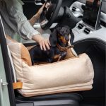 dachshund space saferide bed