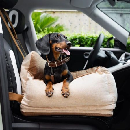 dachshund space saferide bed