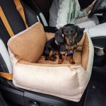 dachshund space saferide bed