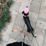 breathable mesh dachshund sun hat