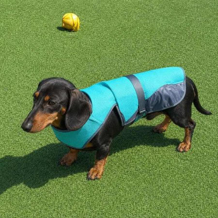 chill out dachshund vest