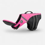 chinfloat dachshund life vest