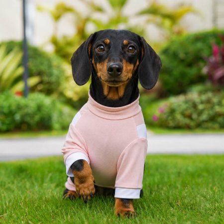 cooling sport dachshund jumpsuit