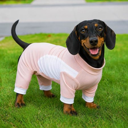 cooling sport dachshund jumpsuit