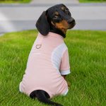 cooling sport dachshund jumpsuit