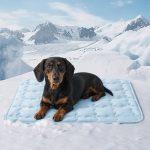 dachshund cooling mat