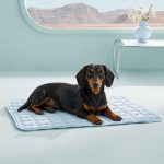 dachshund cooling mat