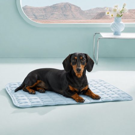 dachshund cooling mat