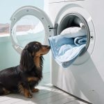 dachshund cooling mat