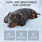 dachshund cooling nest bed