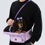 dachshund lookout carrier