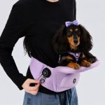 dachshund lookout carrier