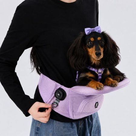 dachshund lookout carrier