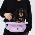 dachshund lookout carrier