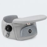 dachshund lookout carrier