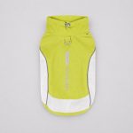 dachshund outdoor reflective vest