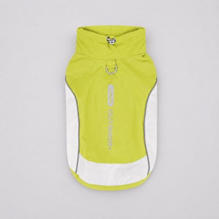 dachshund outdoor reflective vest