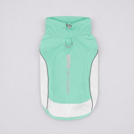 dachshund outdoor reflective vest