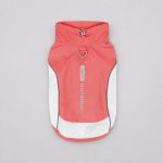 dachshund outdoor reflective vest