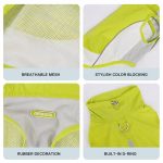 dachshund outdoor reflective vest