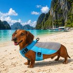dachshund summer cooling vest