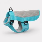 dachshund summer cooling vest
