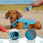 dachshund summer cooling vest