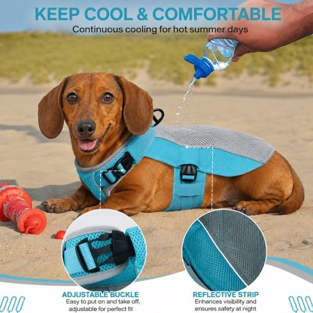 dachshund summer cooling vest