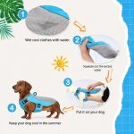 dachshund summer cooling vest