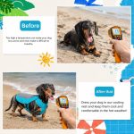 dachshund summer cooling vest