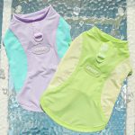 dachshund summer sport mesh vest