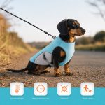 doxie chill cooling vest