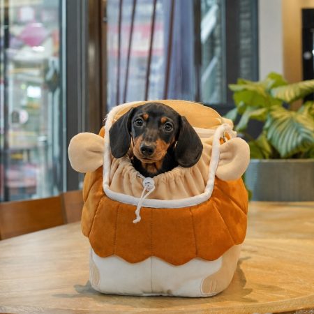 lion mane dachshund carrier