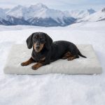 Non-Slip Dachshund Cooling Bed