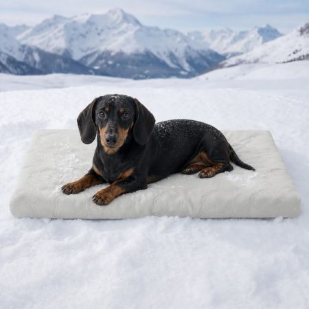 Non-Slip Dachshund Cooling Bed