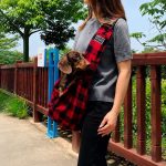 plaid dachshund sling carrier