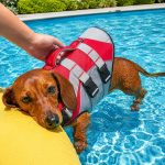 reflective dachshund life jacket